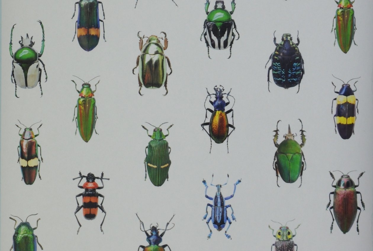 Coleoptera, ref. CCMLE 10219 Curious collection by MariëlleLeenders Design et édition MariëlleLeenders, Eindhoven, Pays-Bas Intissé, impression numérique Inv. 2018.12.2